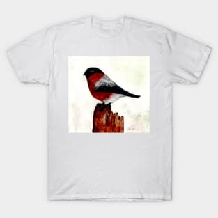 bullfinch T-Shirt